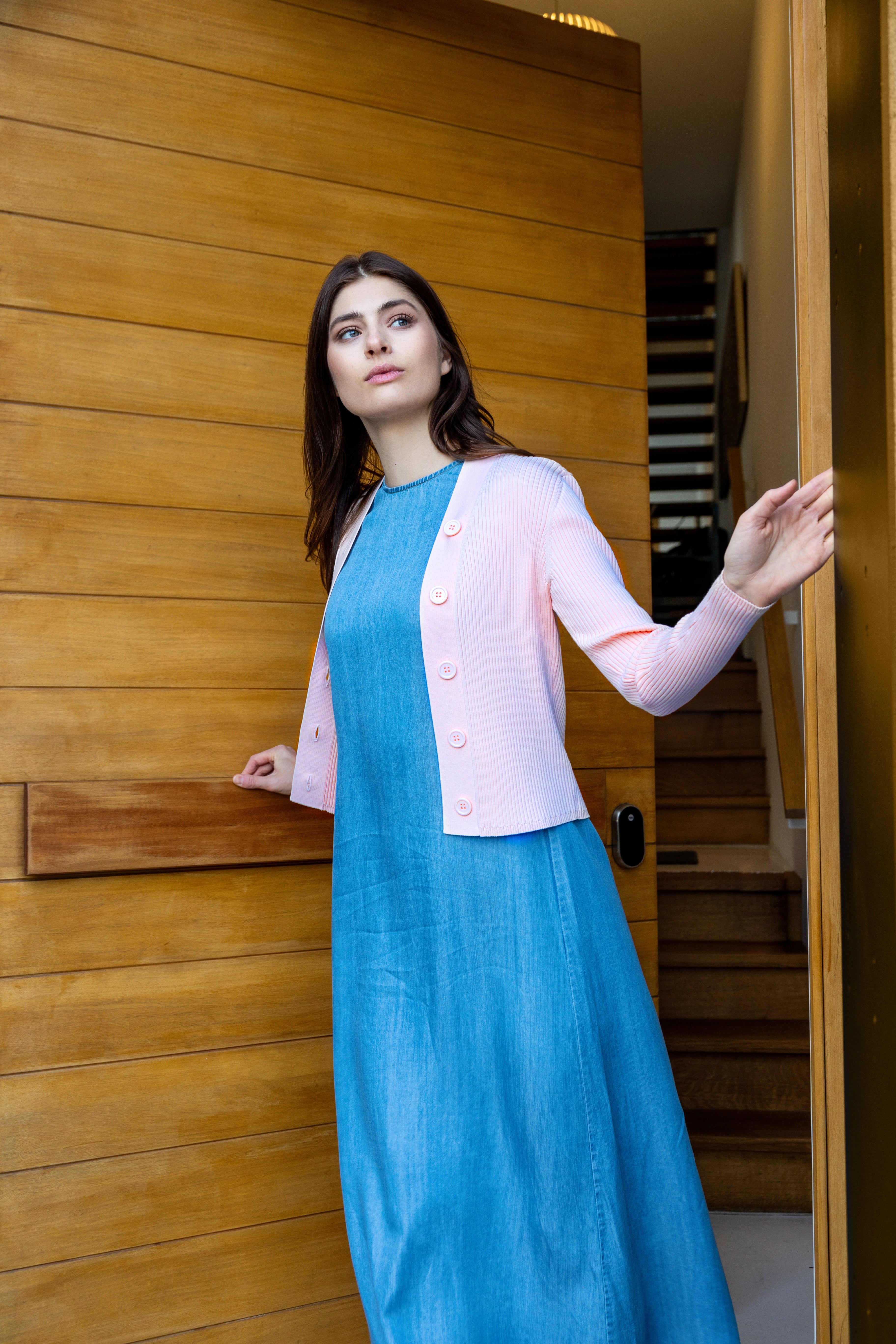 DENIM LAYERING DRESS